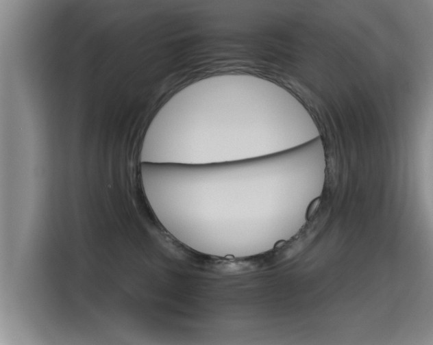 X0000115700379200911191234