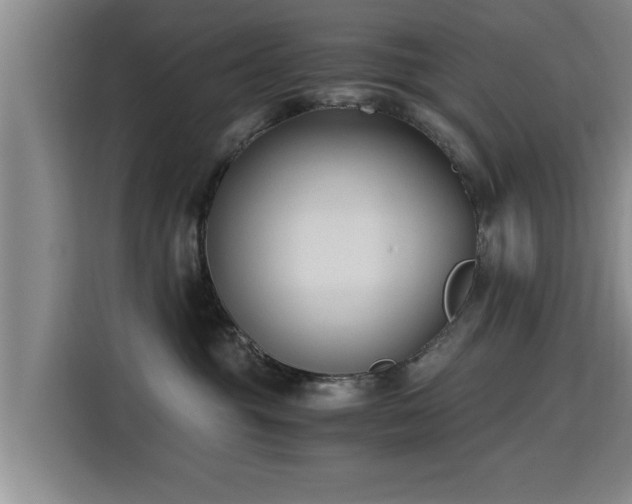 X0000115700381200911191234