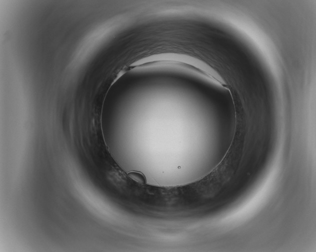 X0000115700382200911191234