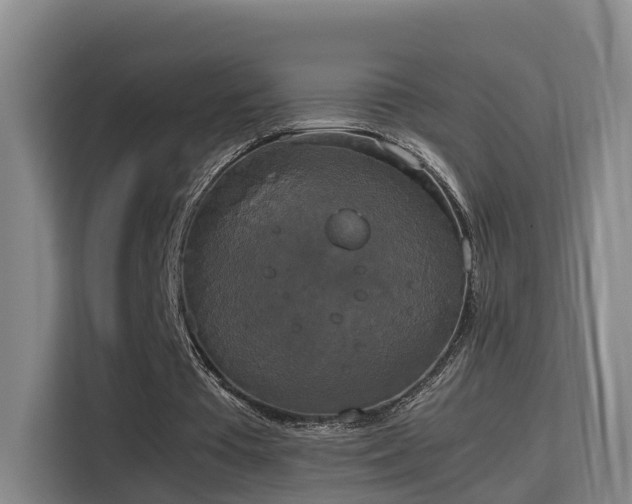 X0000115700385200911191234