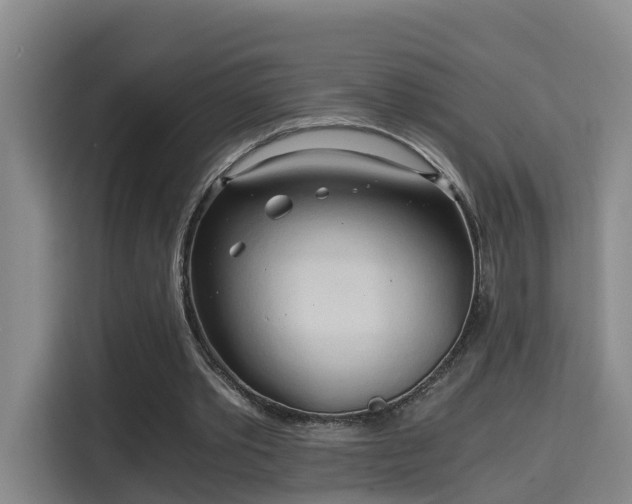 X0000115700389200911191234