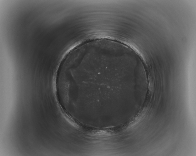 X0000115700390200911191234