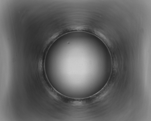 X0000115700394200911191233