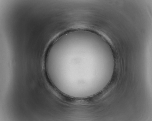 X0000115700399200911191233