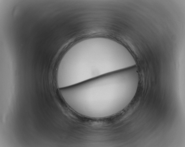 X0000115700400200911191233