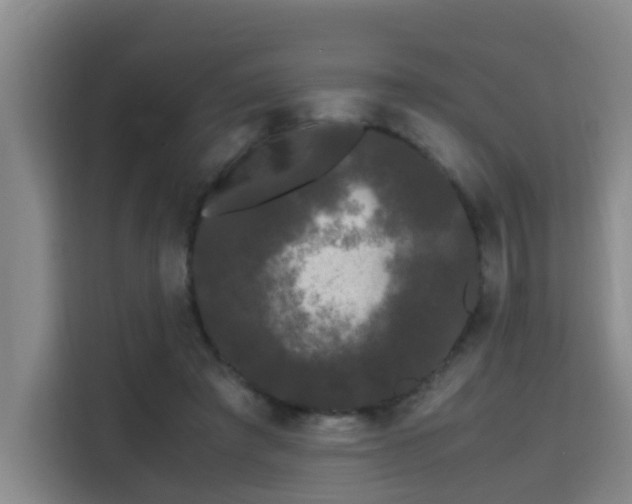 X0000115700401200911191233