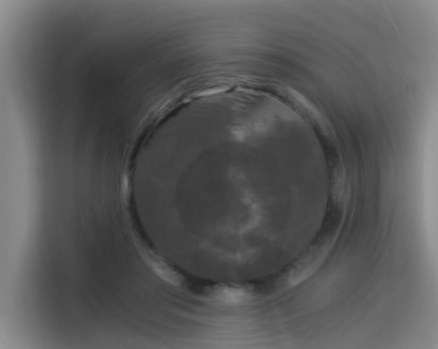 X0000115700405200911191233