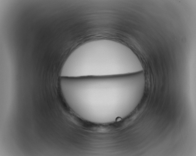 X0000115700412200911191233