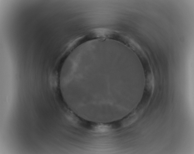 X0000115700413200911191233