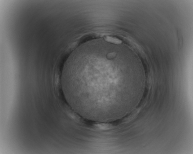 X0000115700417200911191233