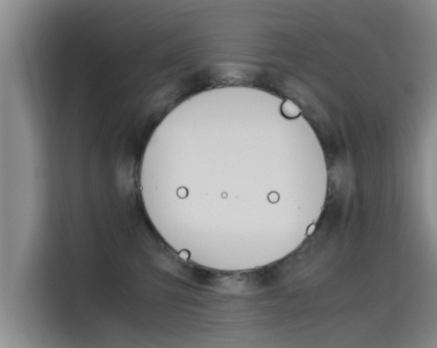 X0000115700423200911191233