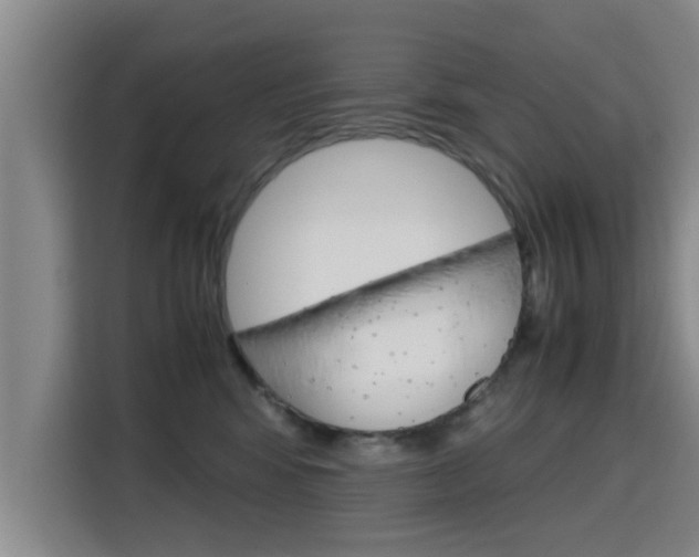 X0000115700424200911191233