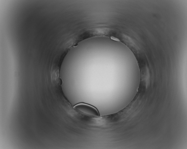 X0000115700425200911191233