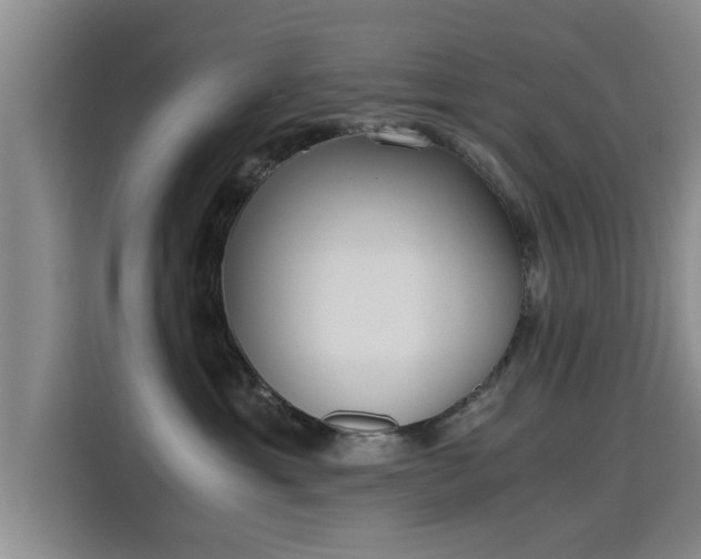 X0000115700429200911191233