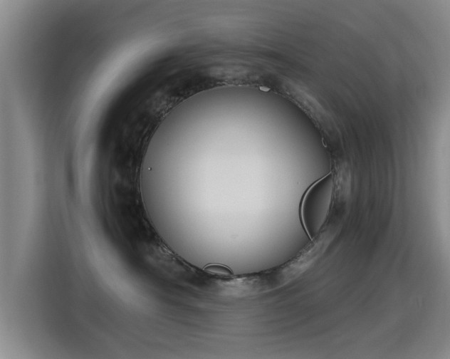 X0000115700430200911191233