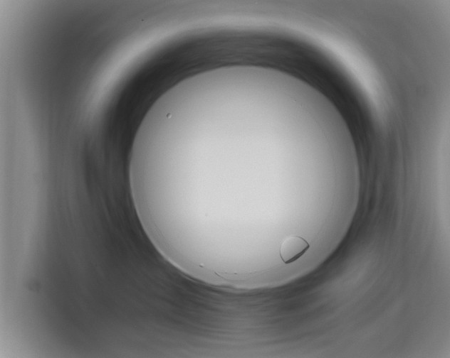 X0000115700431200911191233