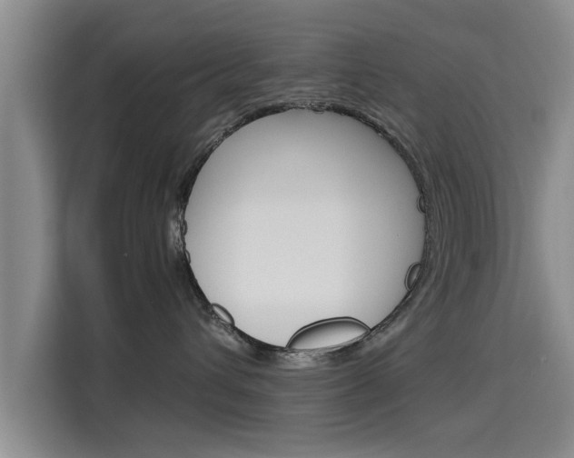 X0000115700432200911191233