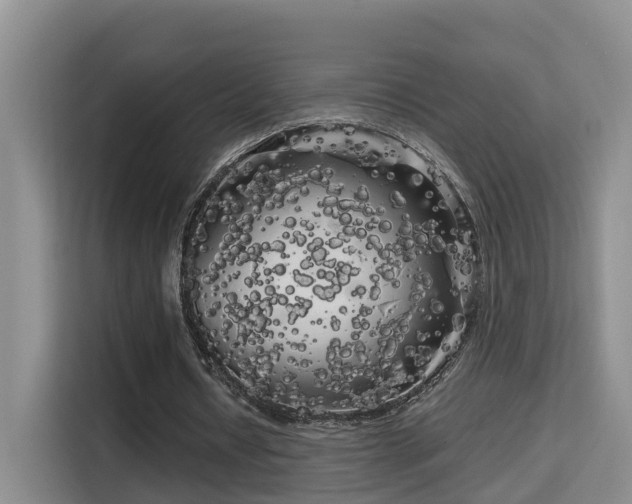 X0000115700434200911191232