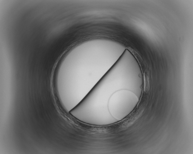 X0000115700435200911191232