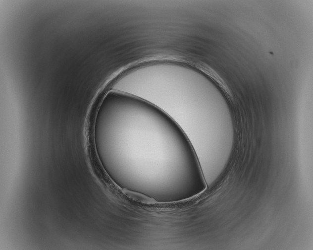 X0000115700436200911191232