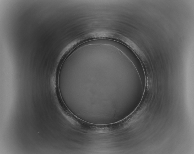 X0000115700438200911191232