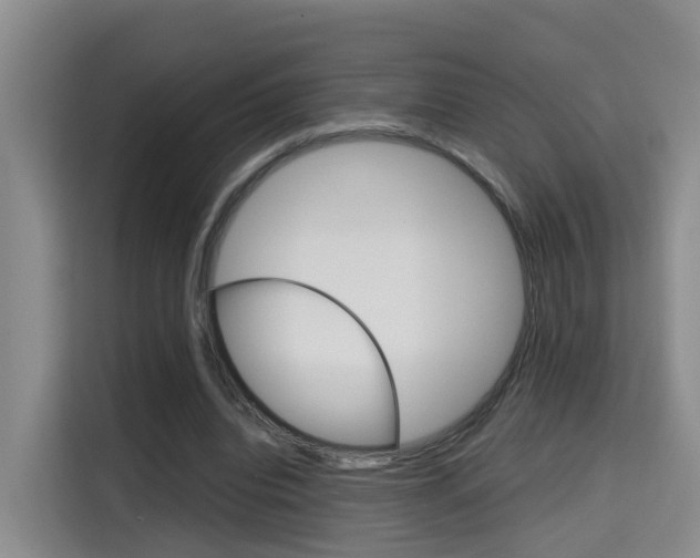 X0000115700440200911191232