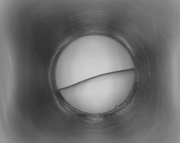 X0000115700443200911191232