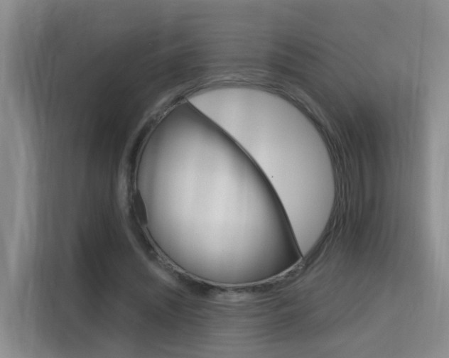 X0000115700444200911191233