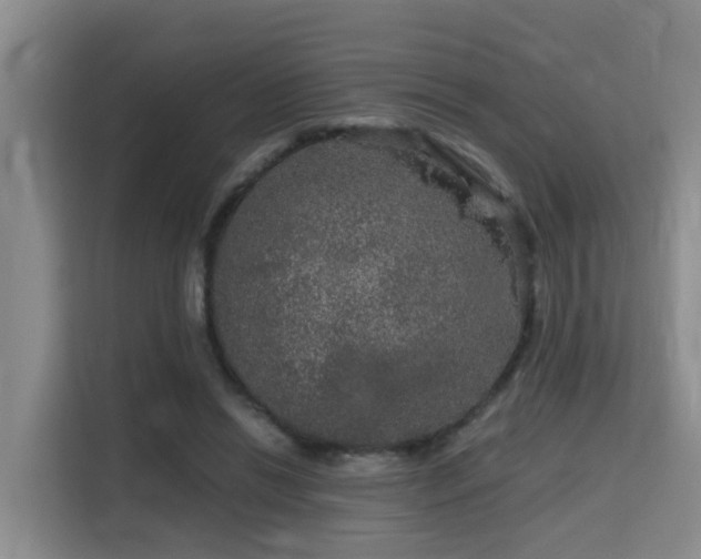 X0000115700446200911191233