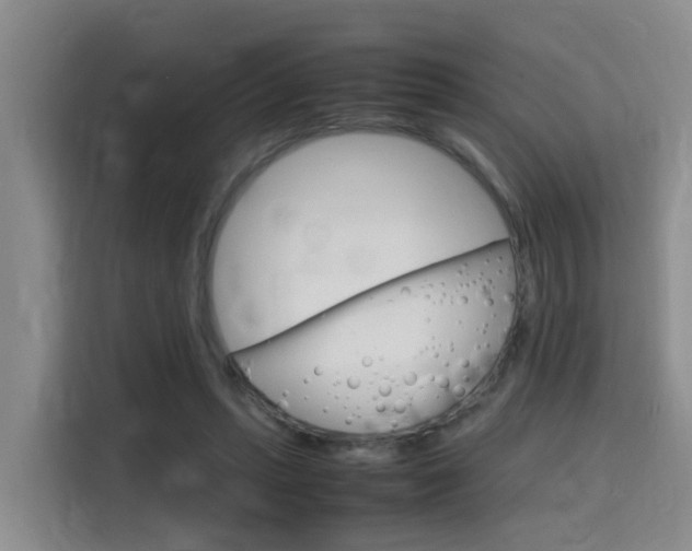 X0000115700447200911191233