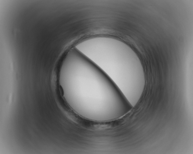 X0000115700448200911191233