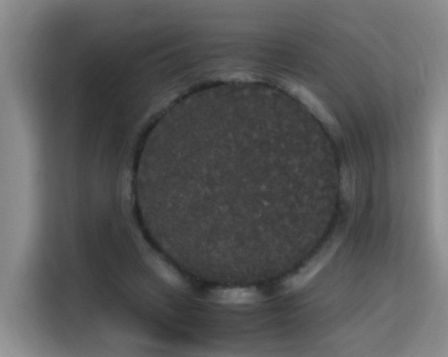 X0000115700449200911191233