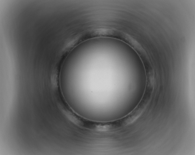 X0000115700450200911191233