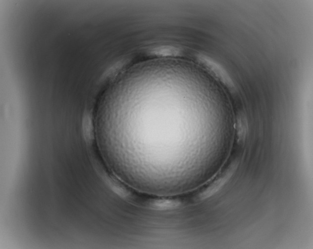 X0000115700453200911191233