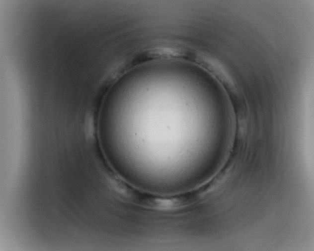 X0000115700457200911191233