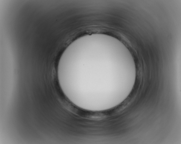 X0000115700459200911191233