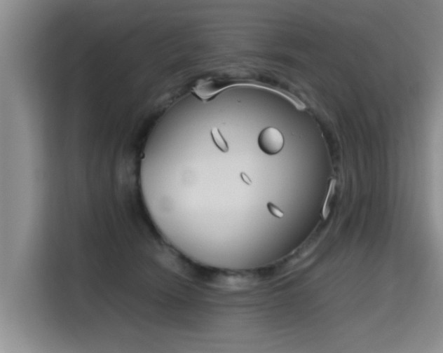 X0000115700466200911191233