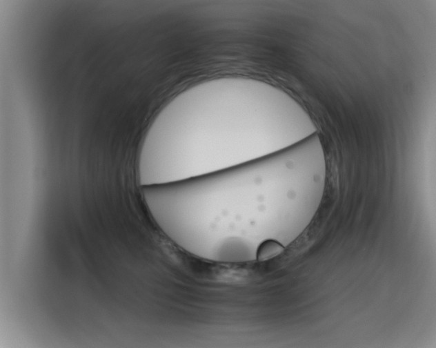 X0000115700471200911191233