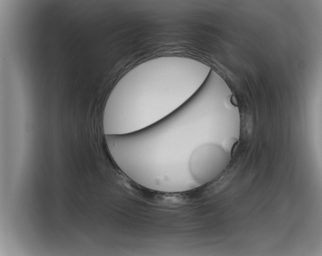 X0000115700475200911191233