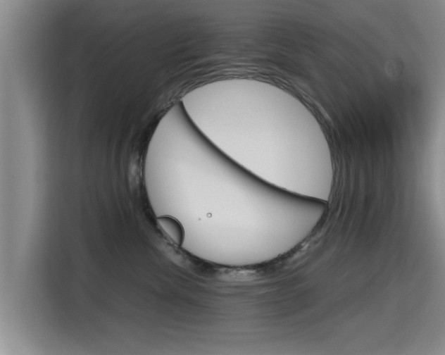 X0000115700476200911191233