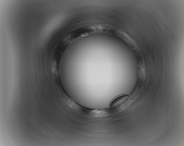 X0000115700477200911191233