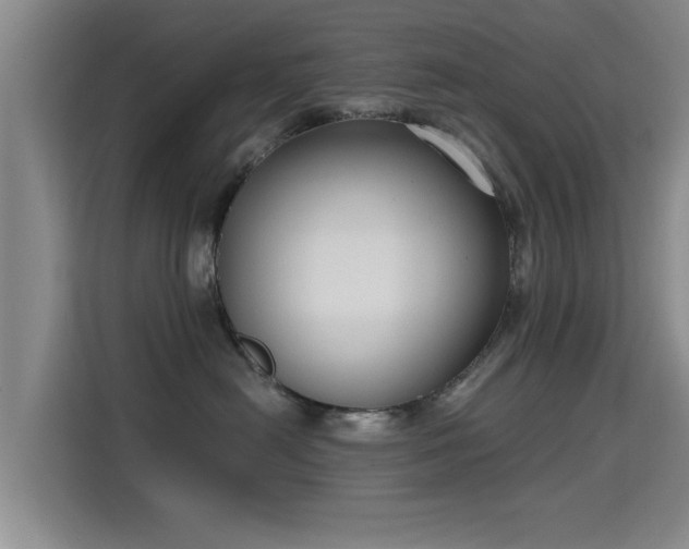 X0000115700478200911191233