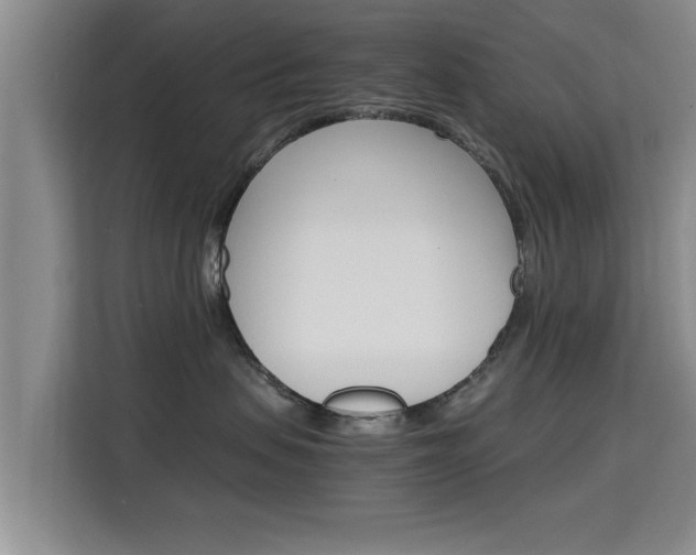 X0000115700479200911191233