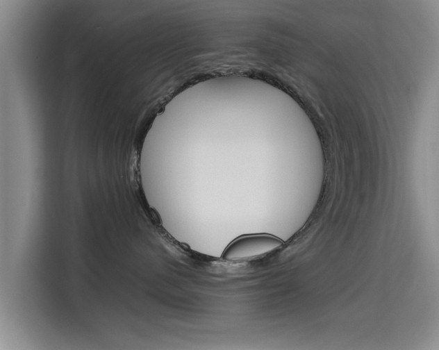 X0000115700480200911191233