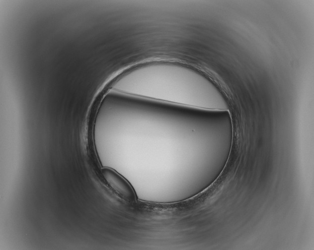 X0000115700484200911191232