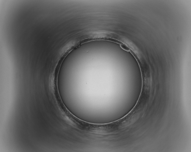 X0000115700485200911191232