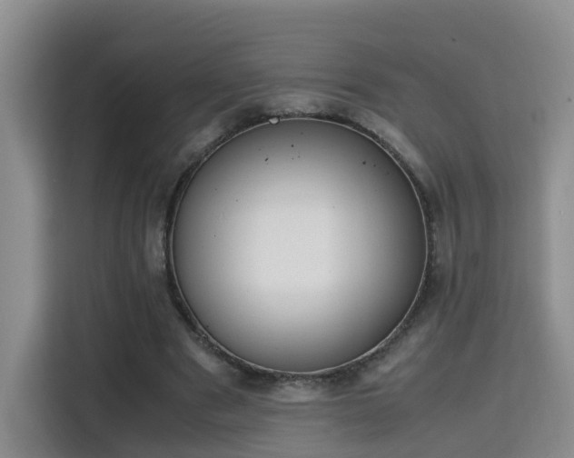 X0000115700489200911191232