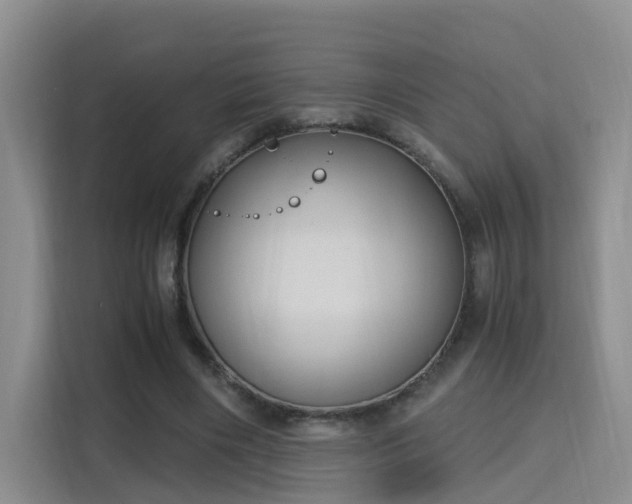 X0000115700490200911191232