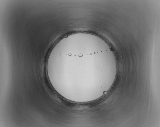 X0000115700491200911191232