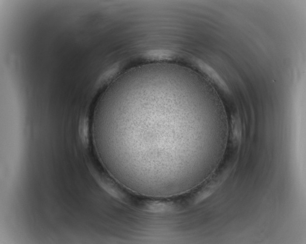 X0000115700494200911191232